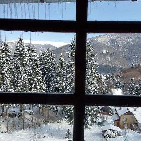 Grandpa'S Hidden Crib, 6 Bedroom, Pet Friendly Sinaia Exteriér fotografie