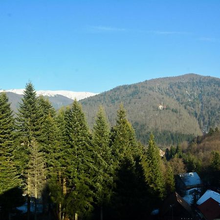 Grandpa'S Hidden Crib, 6 Bedroom, Pet Friendly Sinaia Exteriér fotografie
