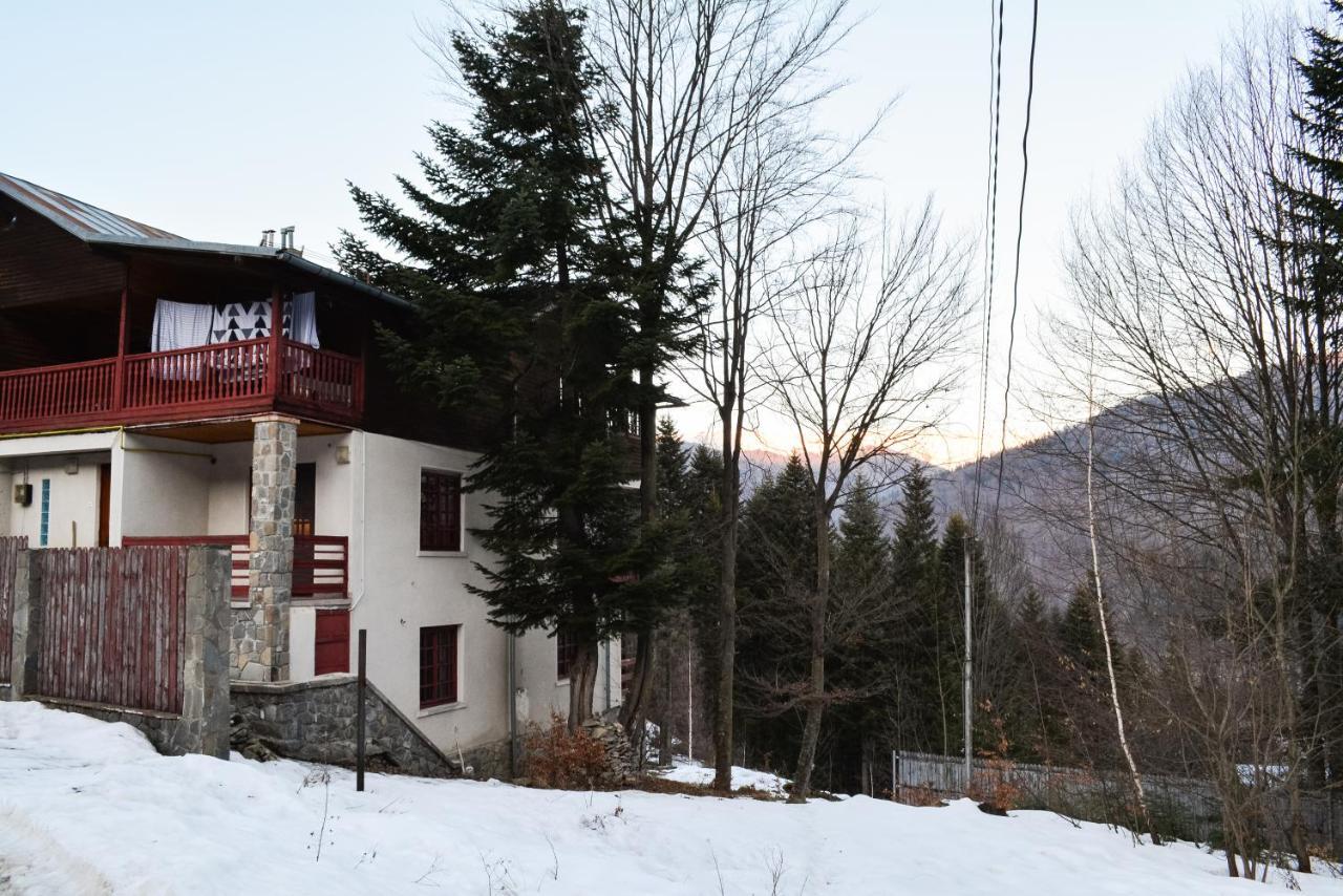 Grandpa'S Hidden Crib, 6 Bedroom, Pet Friendly Sinaia Exteriér fotografie