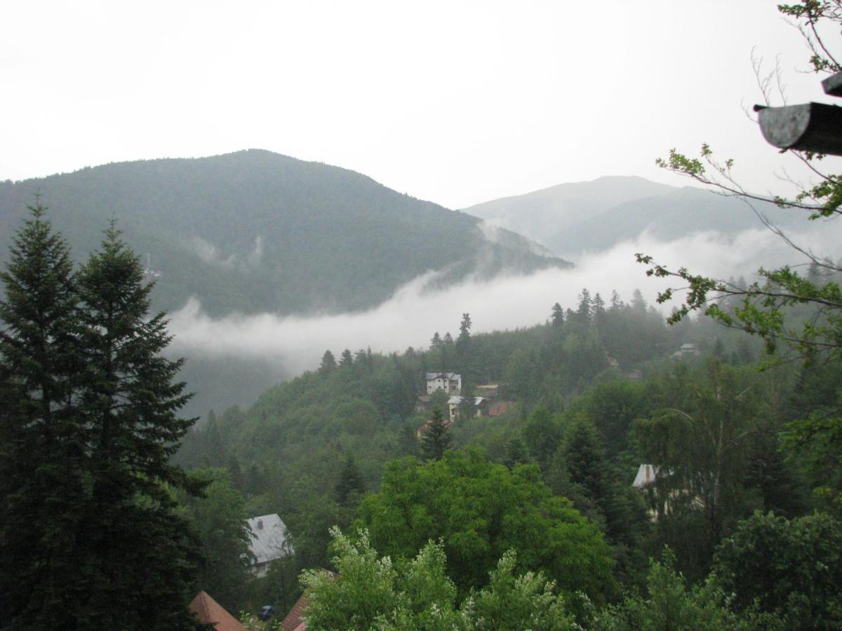 Grandpa'S Hidden Crib, 6 Bedroom, Pet Friendly Sinaia Exteriér fotografie