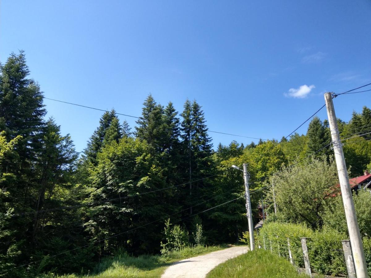 Grandpa'S Hidden Crib, 6 Bedroom, Pet Friendly Sinaia Exteriér fotografie