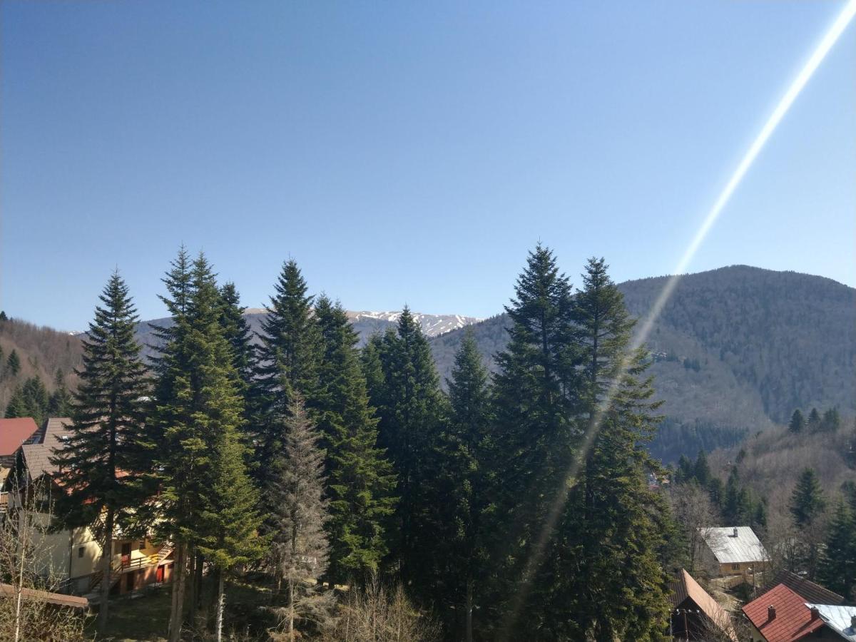 Grandpa'S Hidden Crib, 6 Bedroom, Pet Friendly Sinaia Exteriér fotografie