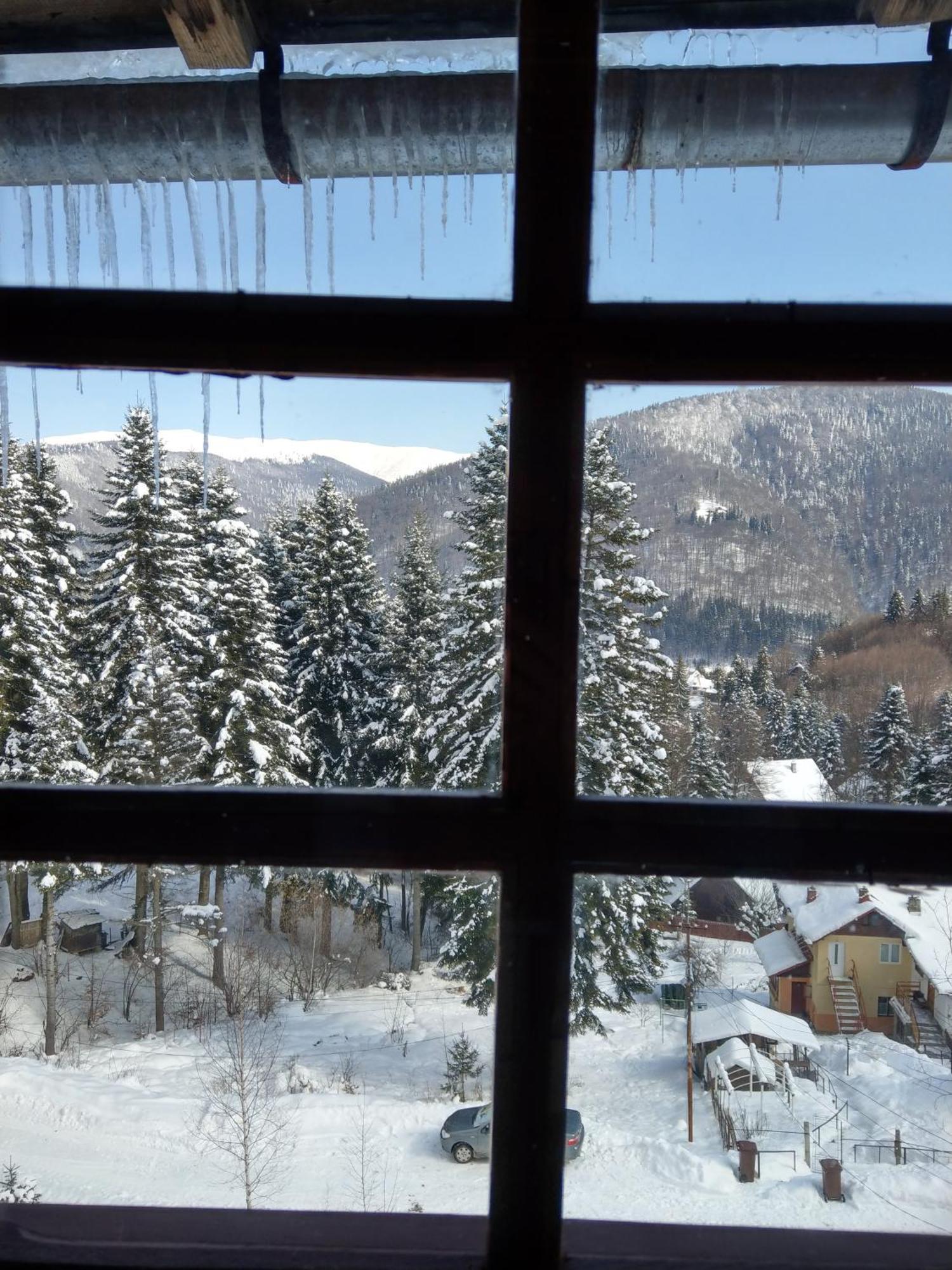 Grandpa'S Hidden Crib, 6 Bedroom, Pet Friendly Sinaia Exteriér fotografie