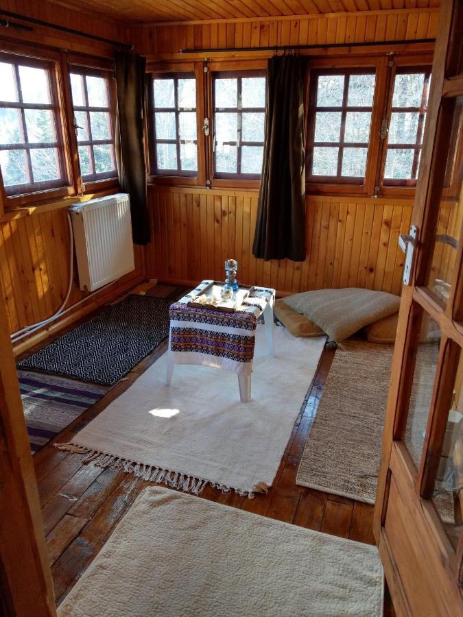 Grandpa'S Hidden Crib, 6 Bedroom, Pet Friendly Sinaia Exteriér fotografie