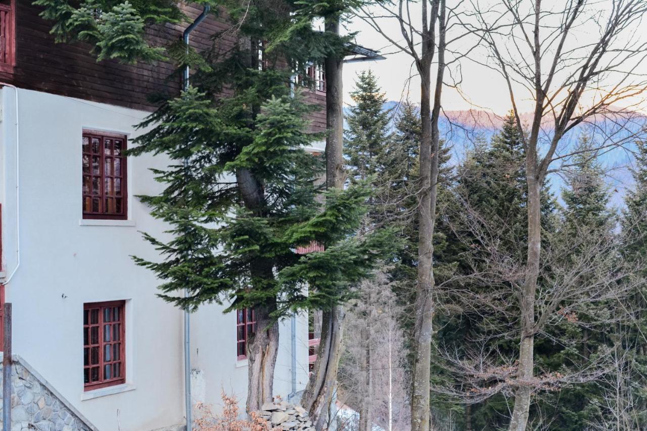 Grandpa'S Hidden Crib, 6 Bedroom, Pet Friendly Sinaia Exteriér fotografie