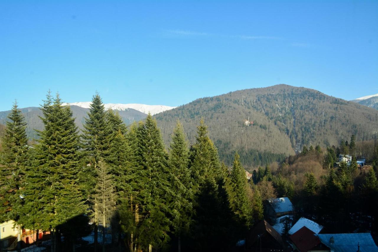 Grandpa'S Hidden Crib, 6 Bedroom, Pet Friendly Sinaia Exteriér fotografie