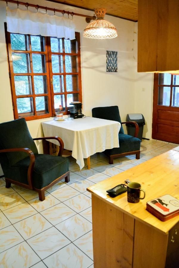 Grandpa'S Hidden Crib, 6 Bedroom, Pet Friendly Sinaia Exteriér fotografie