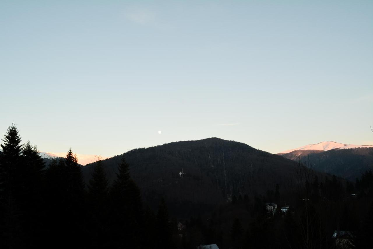 Grandpa'S Hidden Crib, 6 Bedroom, Pet Friendly Sinaia Exteriér fotografie