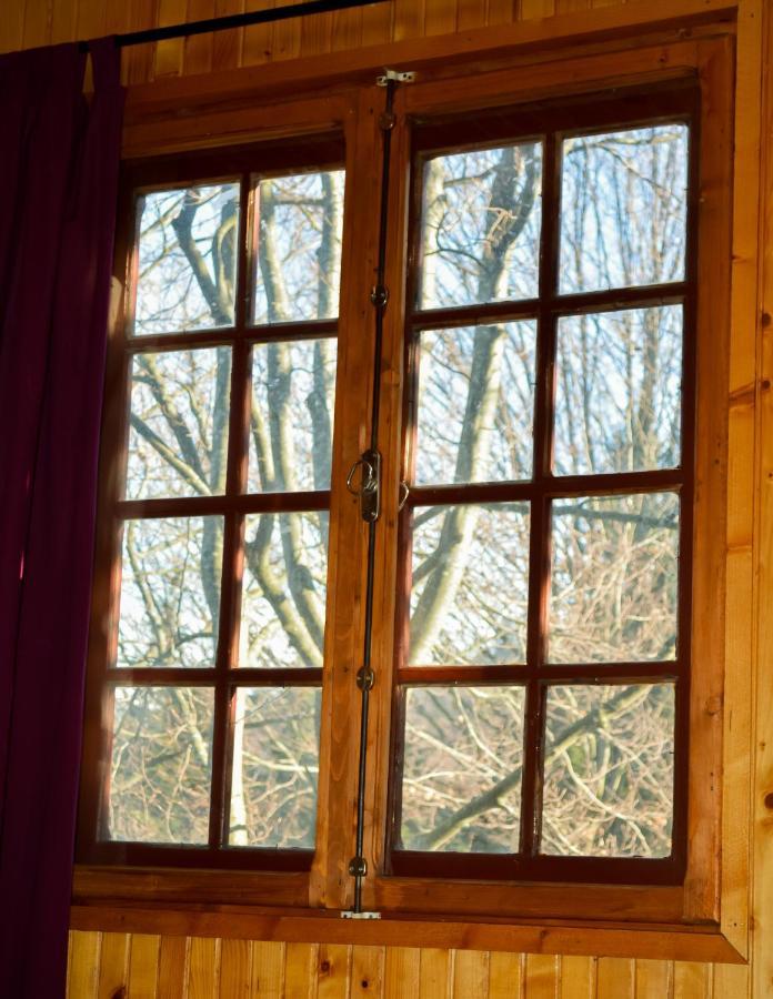 Grandpa'S Hidden Crib, 6 Bedroom, Pet Friendly Sinaia Exteriér fotografie