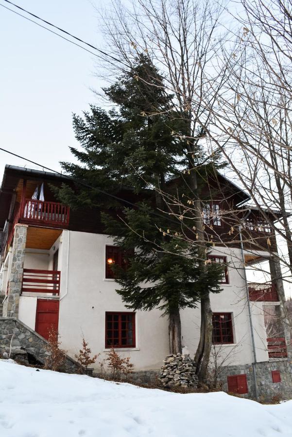 Grandpa'S Hidden Crib, 6 Bedroom, Pet Friendly Sinaia Exteriér fotografie