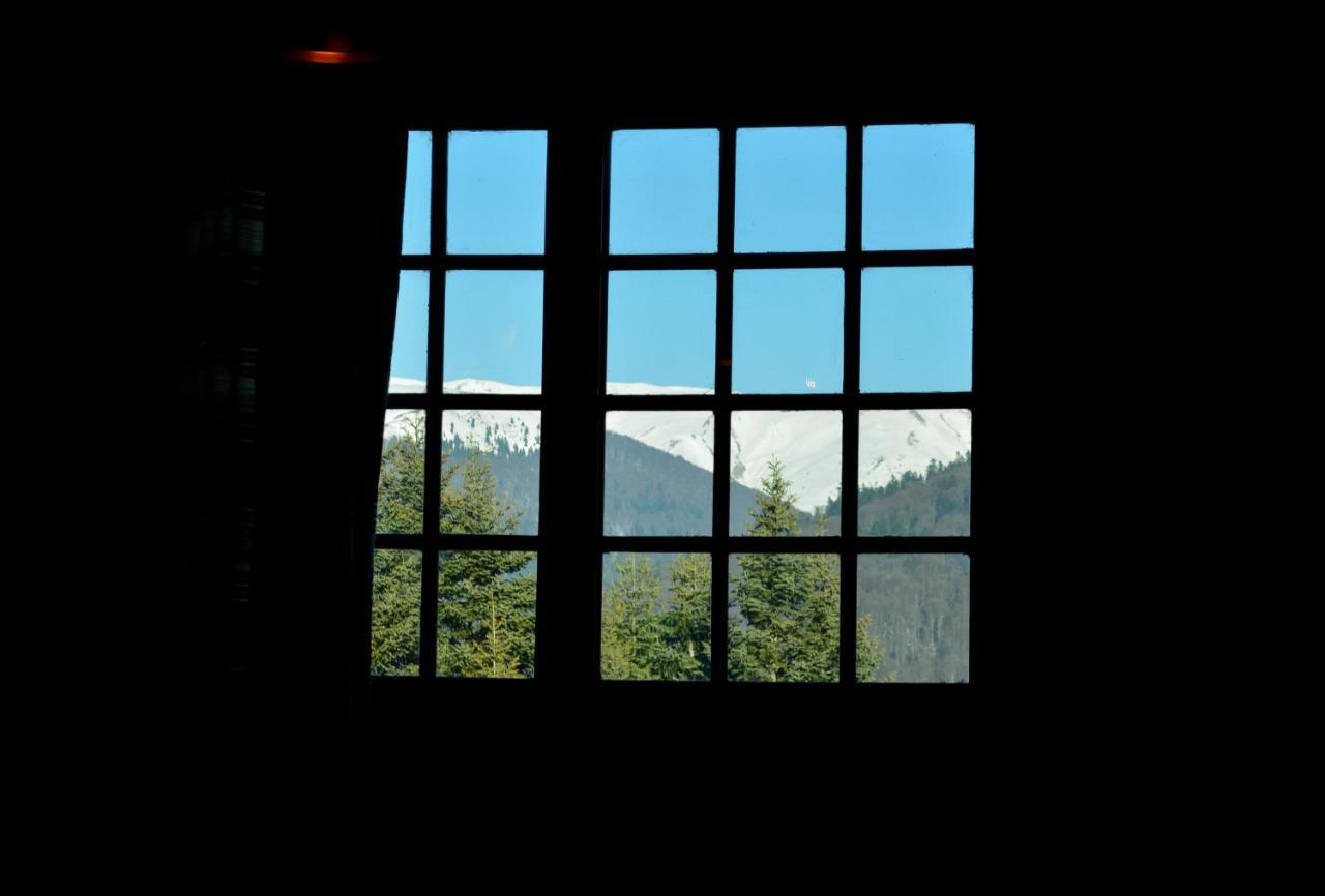 Grandpa'S Hidden Crib, 6 Bedroom, Pet Friendly Sinaia Exteriér fotografie